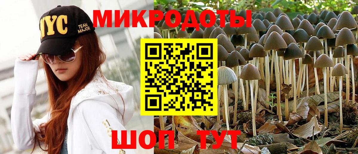 Псилоцибиновые грибы мицелий Асино