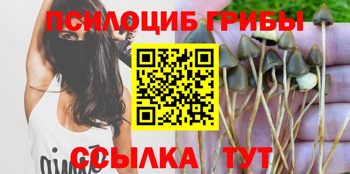 Псилоцибиновые грибы Magic Shrooms  Псилоцибиновые грибы Cubensis  Асино  Вход с VPN 